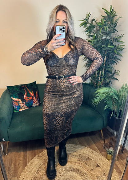 LUCIA Mesh Leopard Print Dress